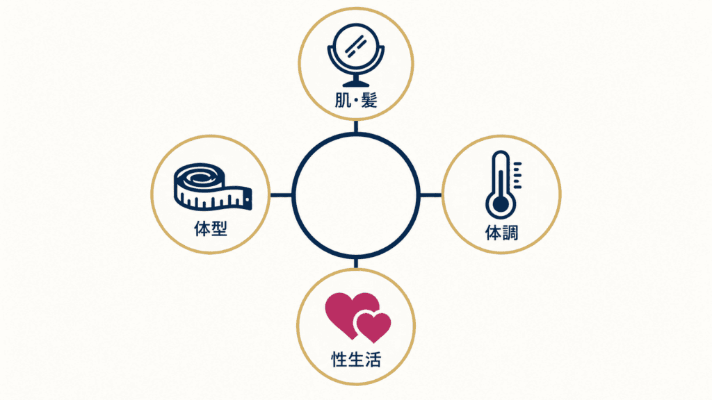 体型・肌と髪・体調・性生活の4つの不安を示す図。