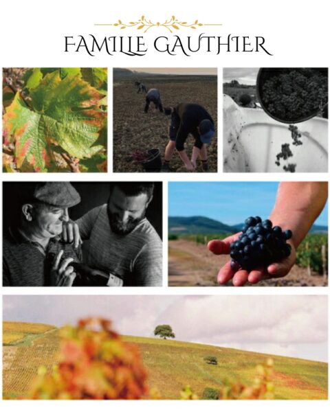 FAMILLE GAUTHIER